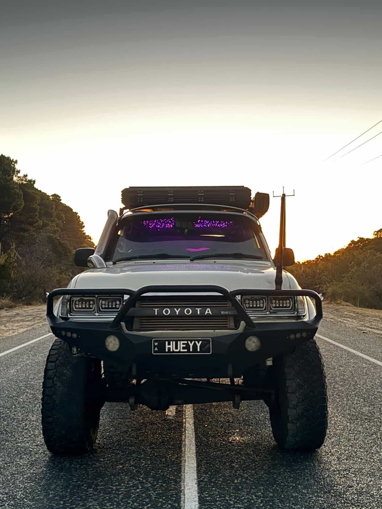 
                  
                    BushBash Starlight Kit
                  
                